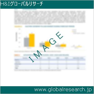 グローバルリサーチ調査レポートのイメージ